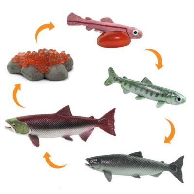 Salmon toy on sale