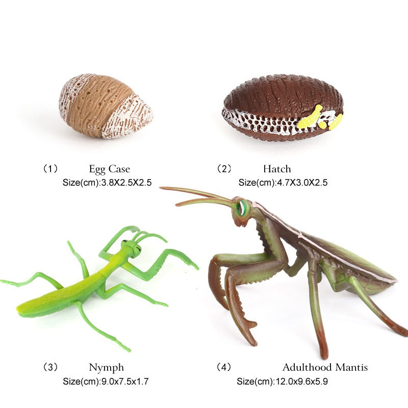 Mantis toy on sale