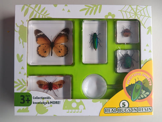 Animals Insect Resin Epoxy Specimens 5 Beautiful Insects GIFT pack With Guide Book and Magnifying Glass