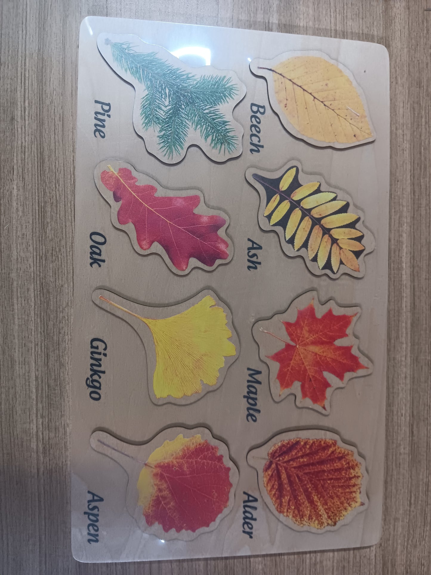 Wooden Leaf and Leaves Learning Puzzle