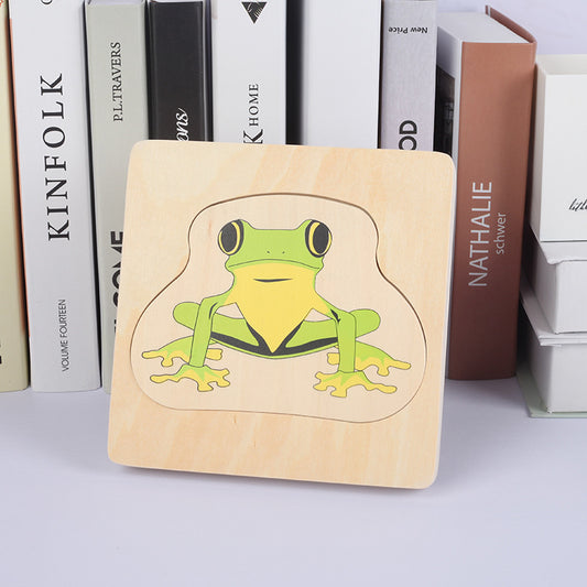 Montessori Frog Lifecycle Puzzle