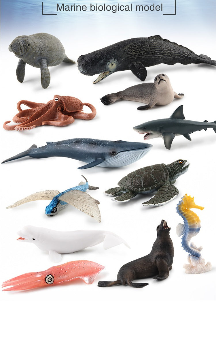 Large Marine Animals PVC Educational Teaching Big Model Figures