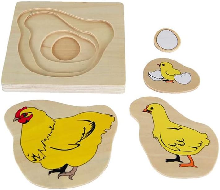 Montessori Multilayered Chicken Lifecycle Puzzle