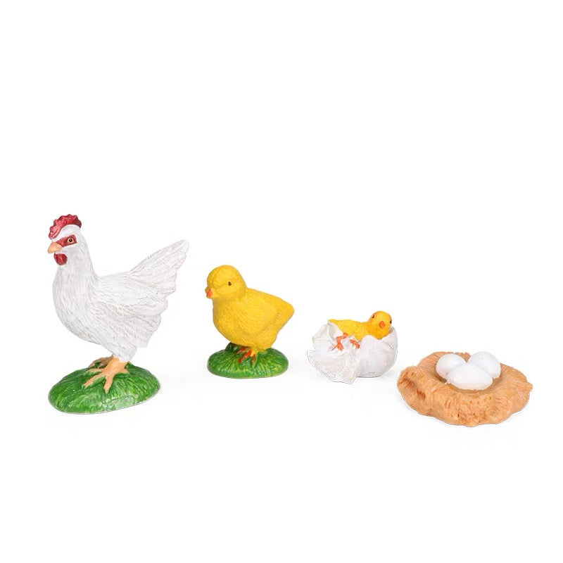 Chicken Life Cycle Toy of Hens Life Expectancy Model Figurines – HAPPY ...