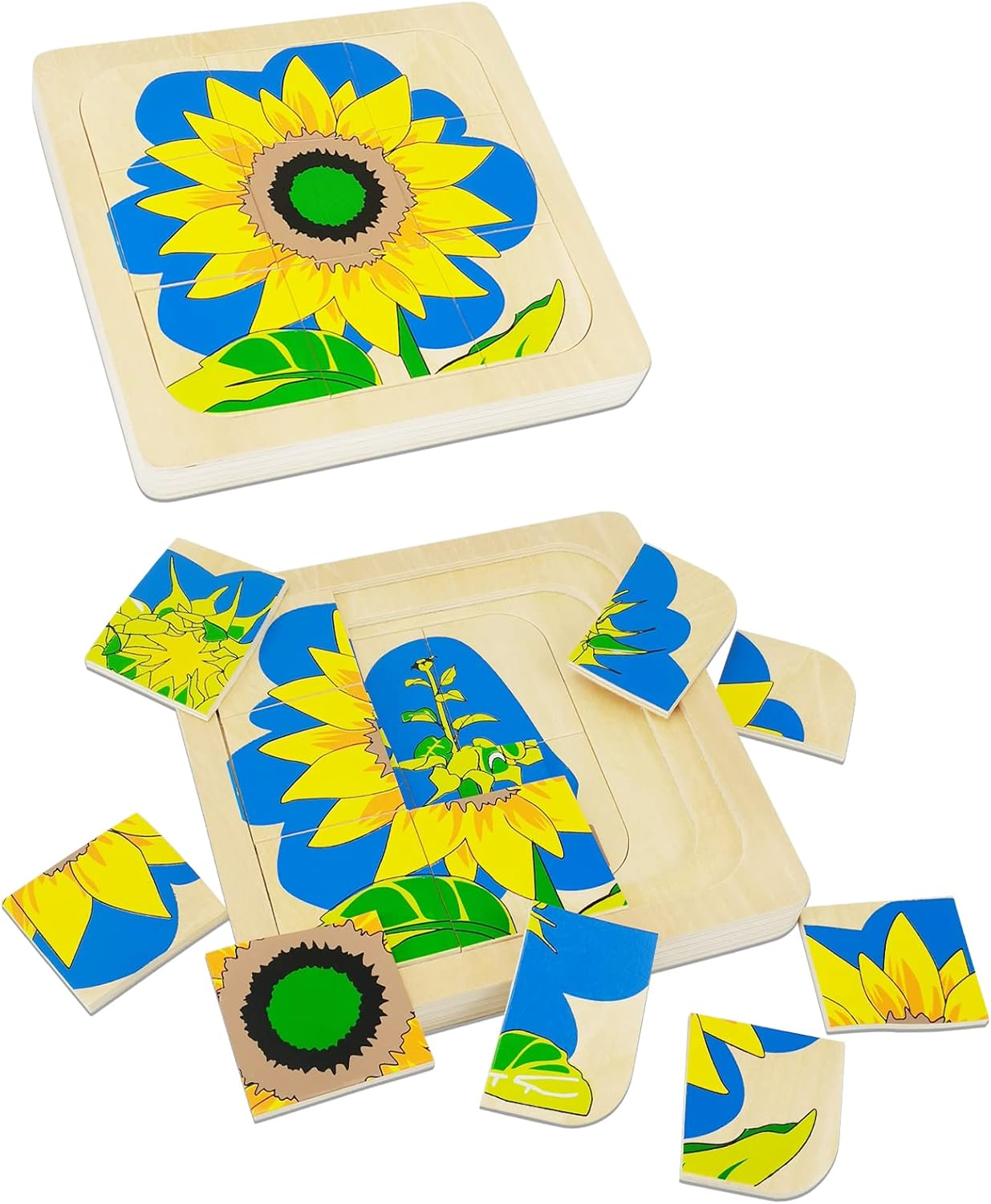 Montessori Sunflower Lifecycle Puzzle