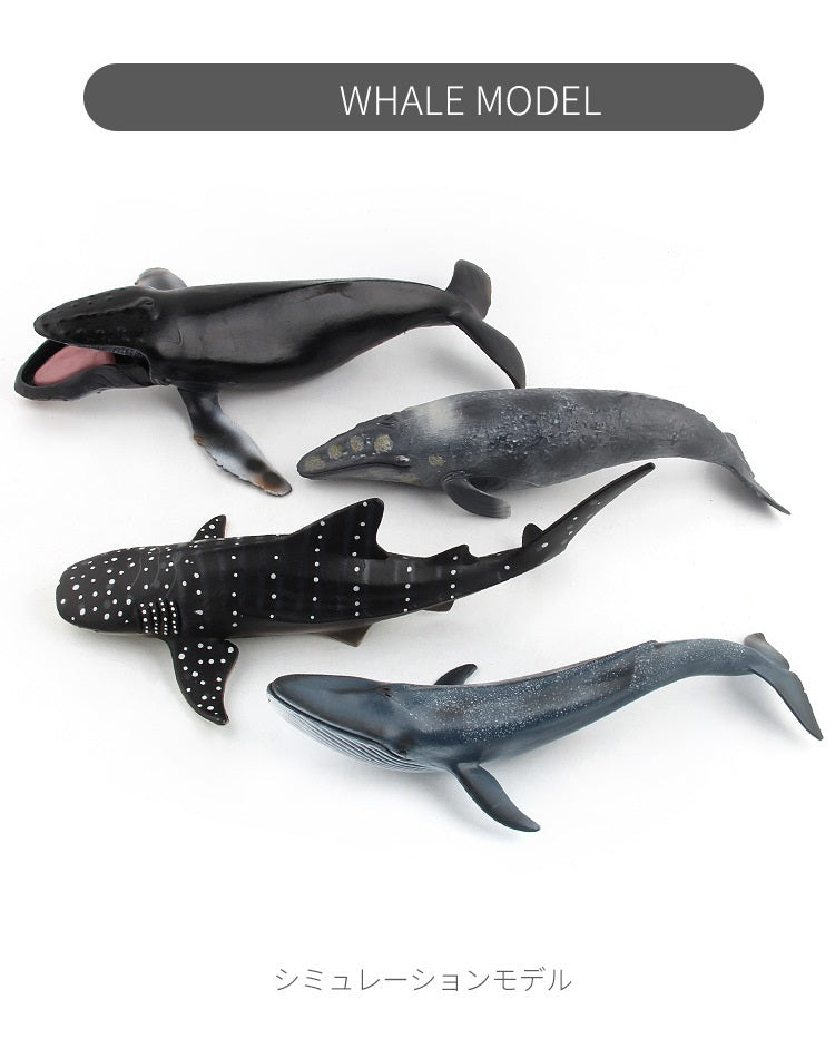 Large 9 Whale Animals Marine Ocean Mammals 9 Big Model Figures 18cm -27cm