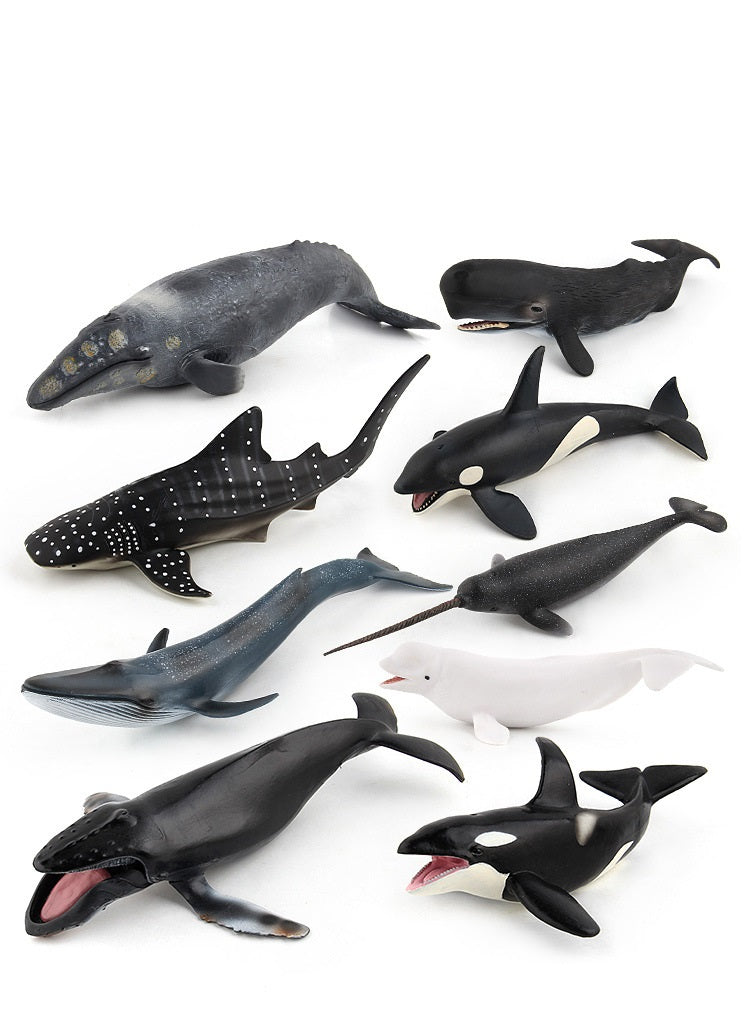 Large 9 Whale Animals Marine Ocean Mammals 9 Big Model Figures 18cm -27cm