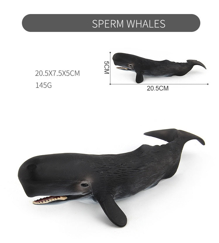 Large 9 Whale Animals Marine Ocean Mammals 9 Big Model Figures 18cm -27cm