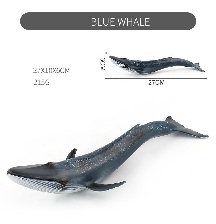 Large 9 Whale Animals Marine Ocean Mammals 9 Big Model Figures 18cm -27cm