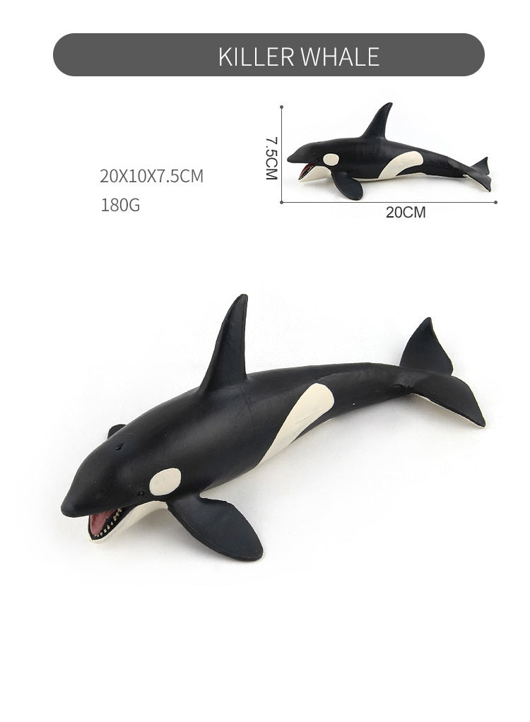 Large 9 Whale Animals Marine Ocean Mammals 9 Big Model Figures 18cm -27cm