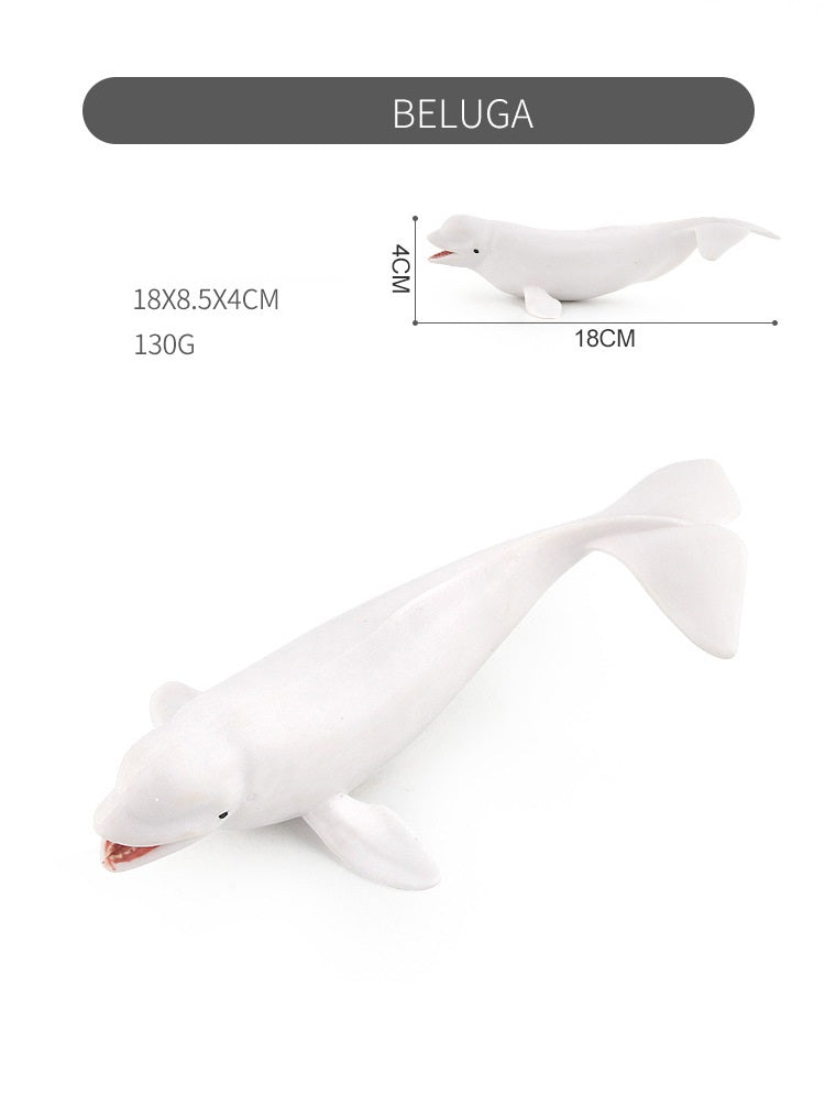 Large 9 Whale Animals Marine Ocean Mammals 9 Big Model Figures 18cm -27cm