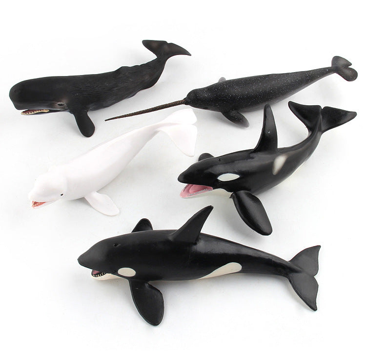 Large 9 Whale Animals Marine Ocean Mammals 9 Big Model Figures 18cm -27cm