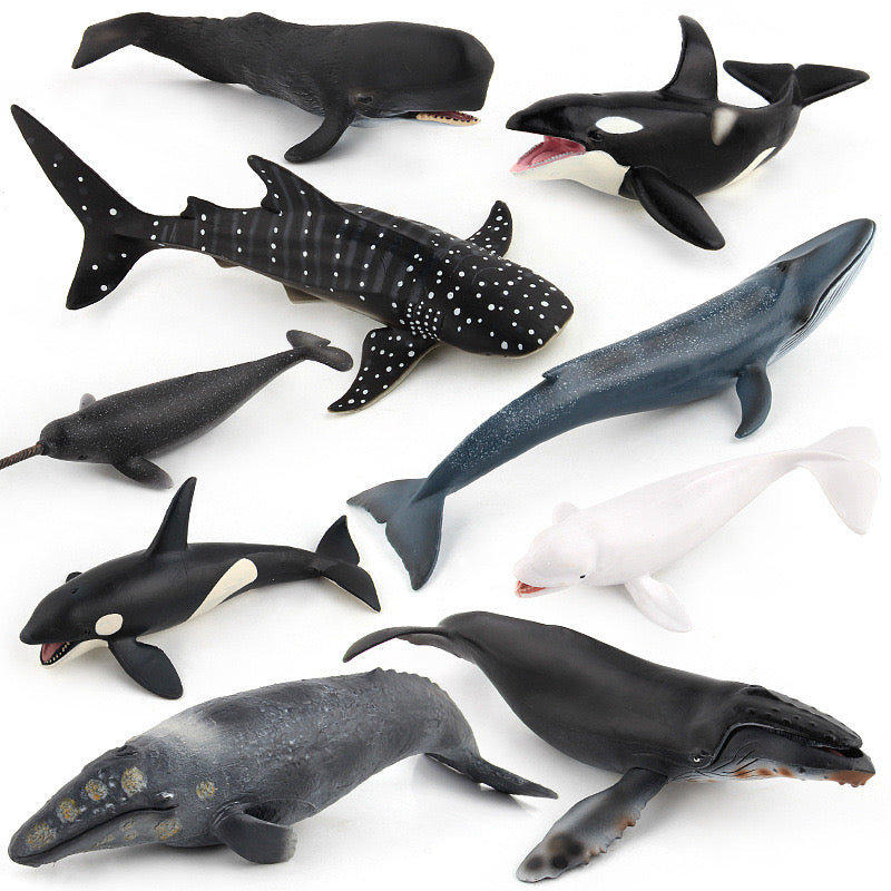 Large 9 Whale Animals Marine Ocean Mammals 9 Big Model Figures 18cm -27cm