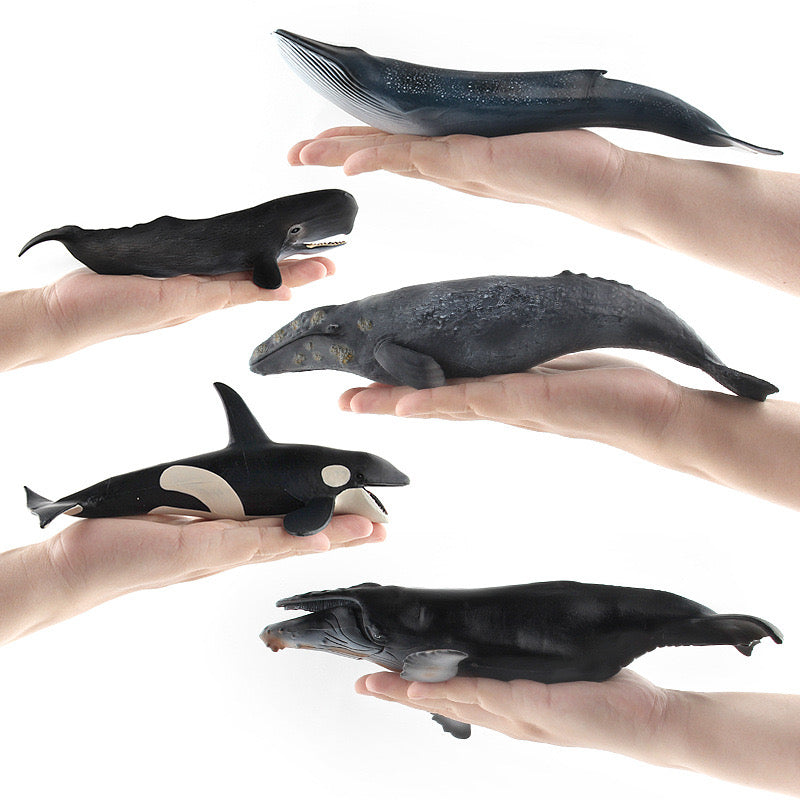 Large 9 Whale Animals Marine Ocean Mammals 9 Big Model Figures 18cm -27cm