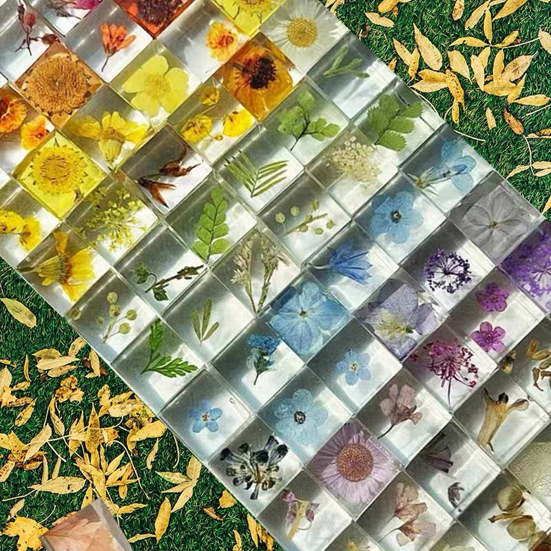 PLANTS ONLY FLOWER PETAL AND FAUNA Specimens Resin Epoxy Blocks