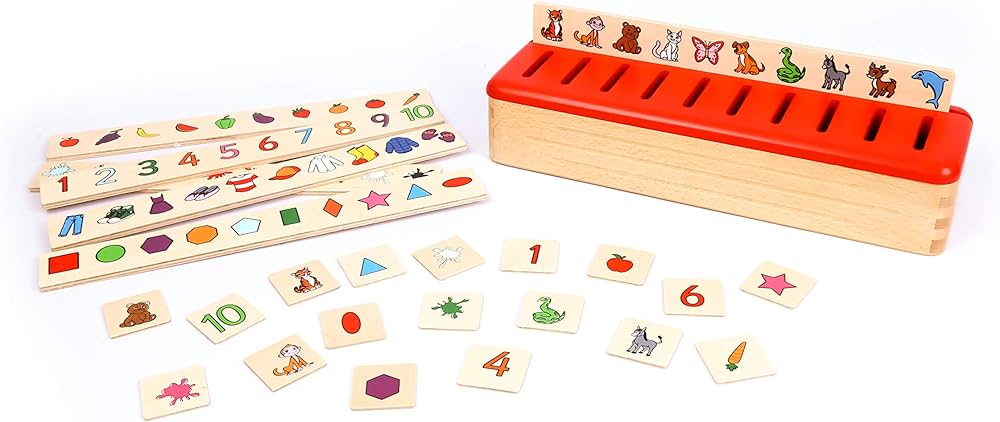 Large JUMBO Category Sorting Game Montessori inspired Kids Wooden toys