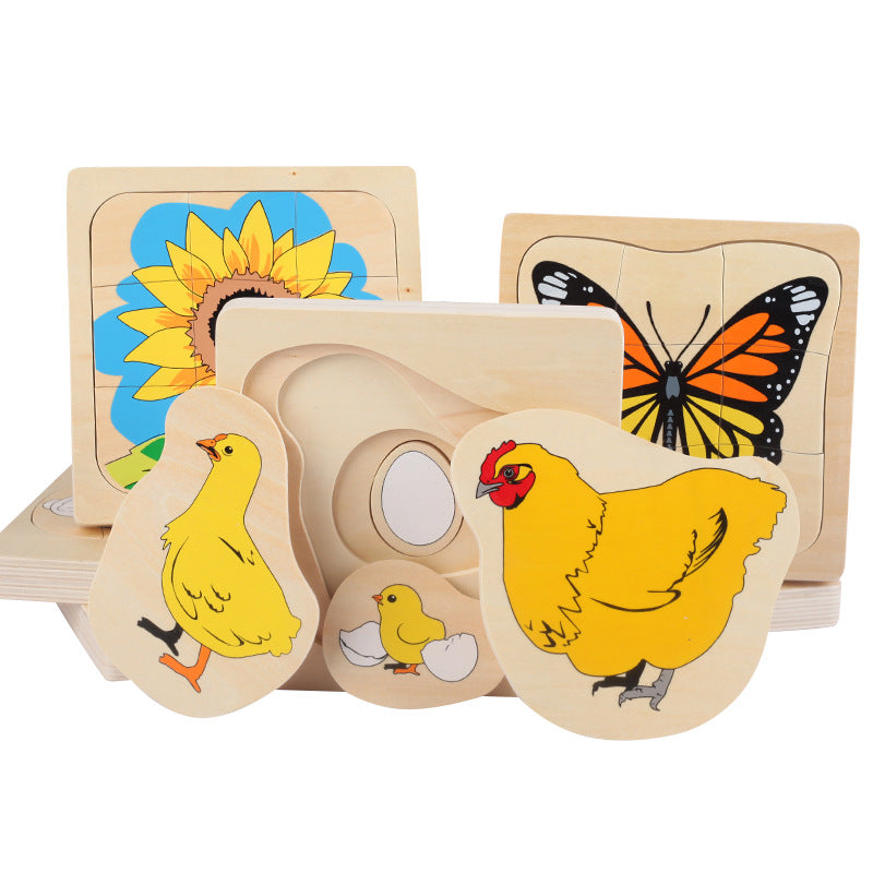 Montessori Multilayered Chicken Lifecycle Puzzle