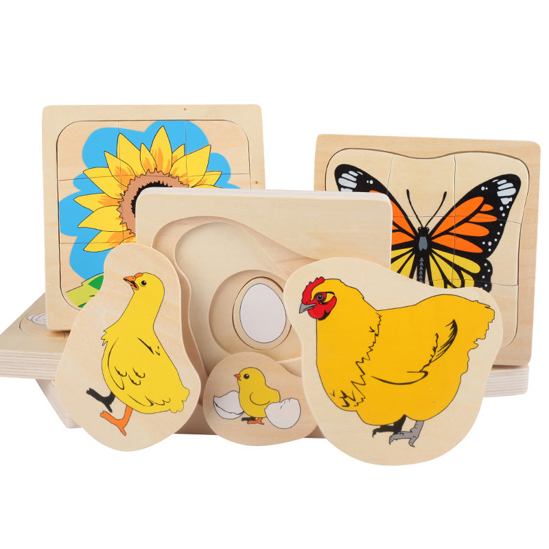 Montessori Sunflower Lifecycle Puzzle