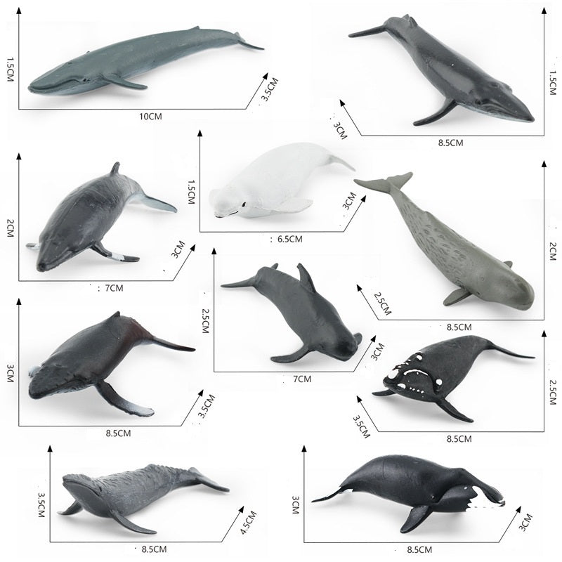 Whale Animals PVC Ocean Mammals Model Figures Set of 10