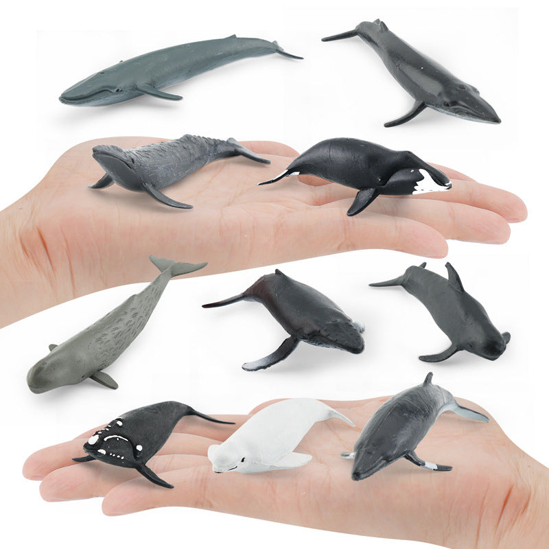 Whale Animals PVC Ocean Mammals Model Figures Set of 10