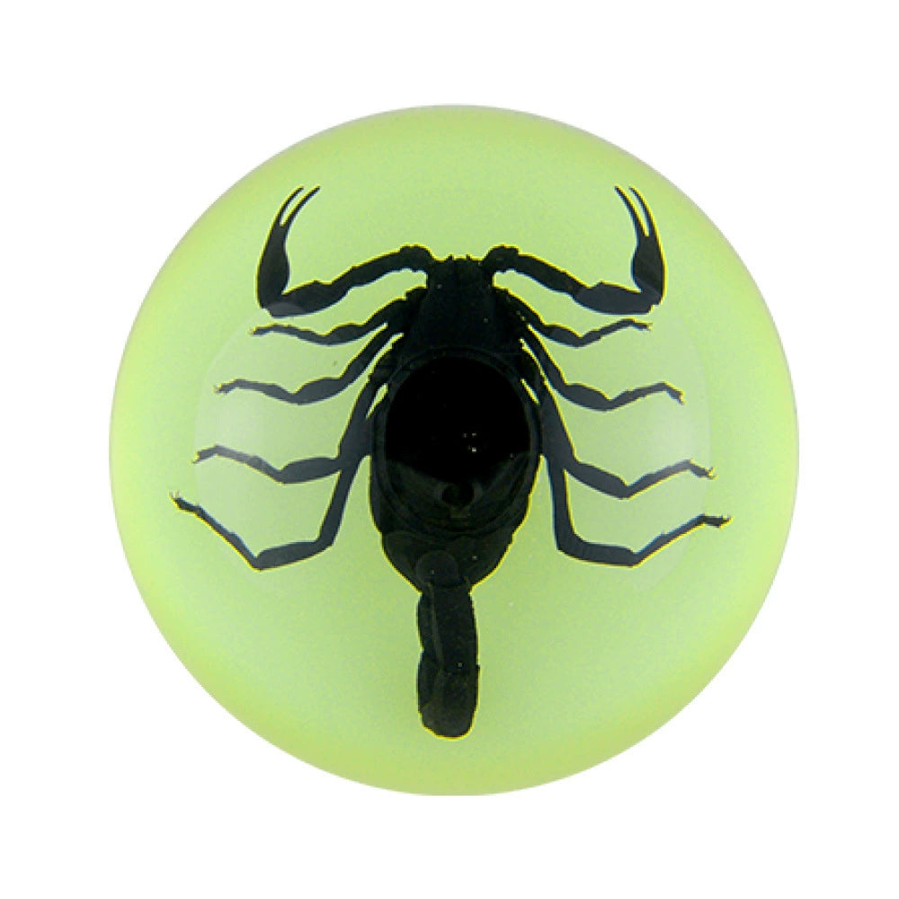 Butterfly Scorpion Spider Specimen Resin  Domes Insects Bugs  Circular Blocks Science Toy