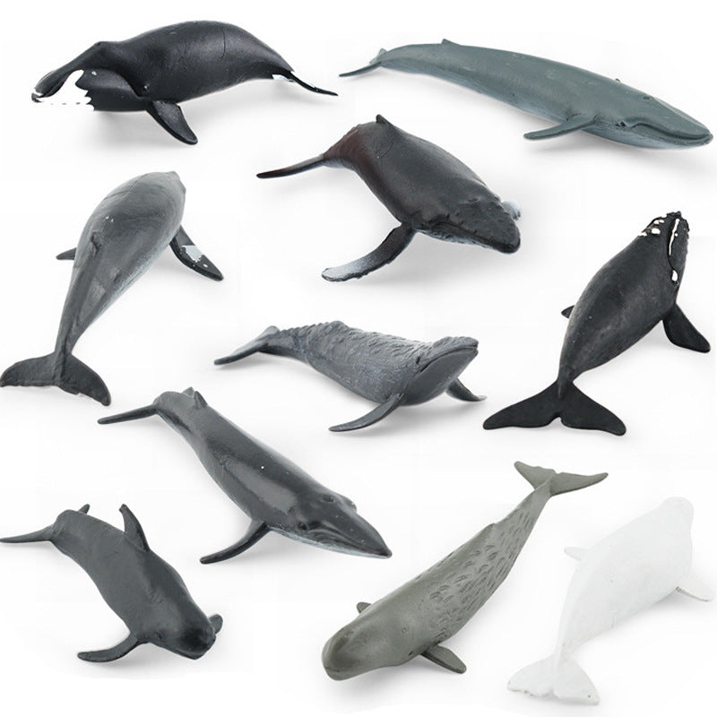 Whale Animals PVC Ocean Mammals Model Figures Set of 10