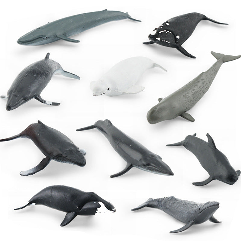 Whale Animals PVC Ocean Mammals Model Figures Set of 10