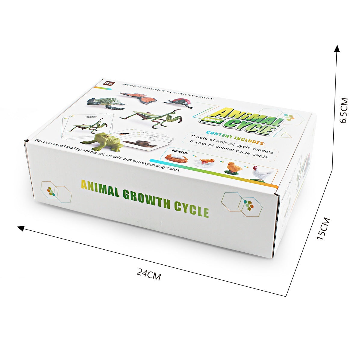 Animal Life Cycle Bundle Box B With Growth Cards