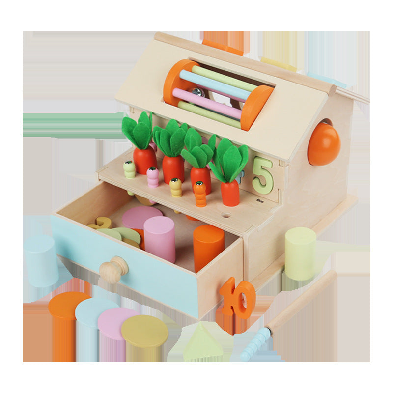 Montessori Multi Activities Geometric Shape Sorting Box Toddler Fine Motor Skill  Wooden Toy Display Stand