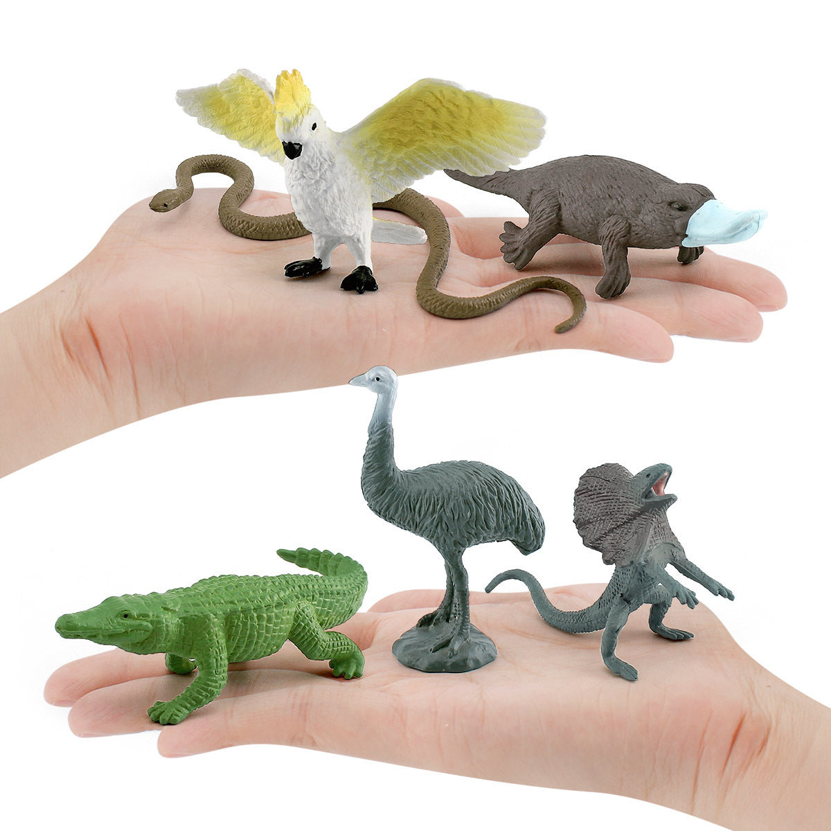 Australian Aussie Animals Figurines Model Toy for Kindergarten