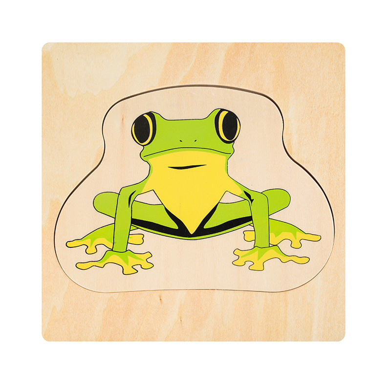 Montessori Frog Lifecycle Puzzle