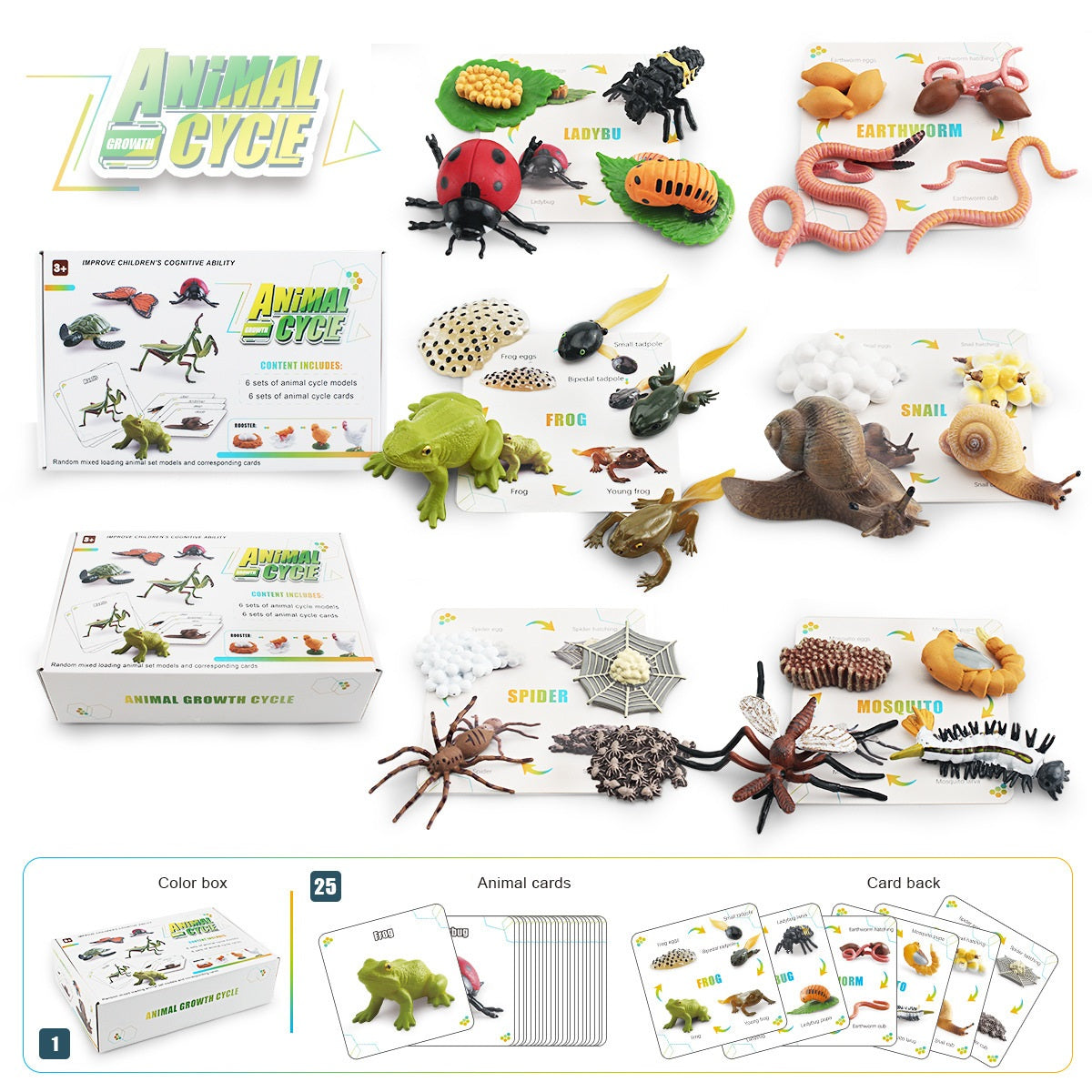 Animal Life Cycle Bundle Box B With Growth Cards