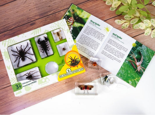 Spider Resin Epoxy Specimens 5 resins Tarantula Spiders and Scorpions GIFT Pack