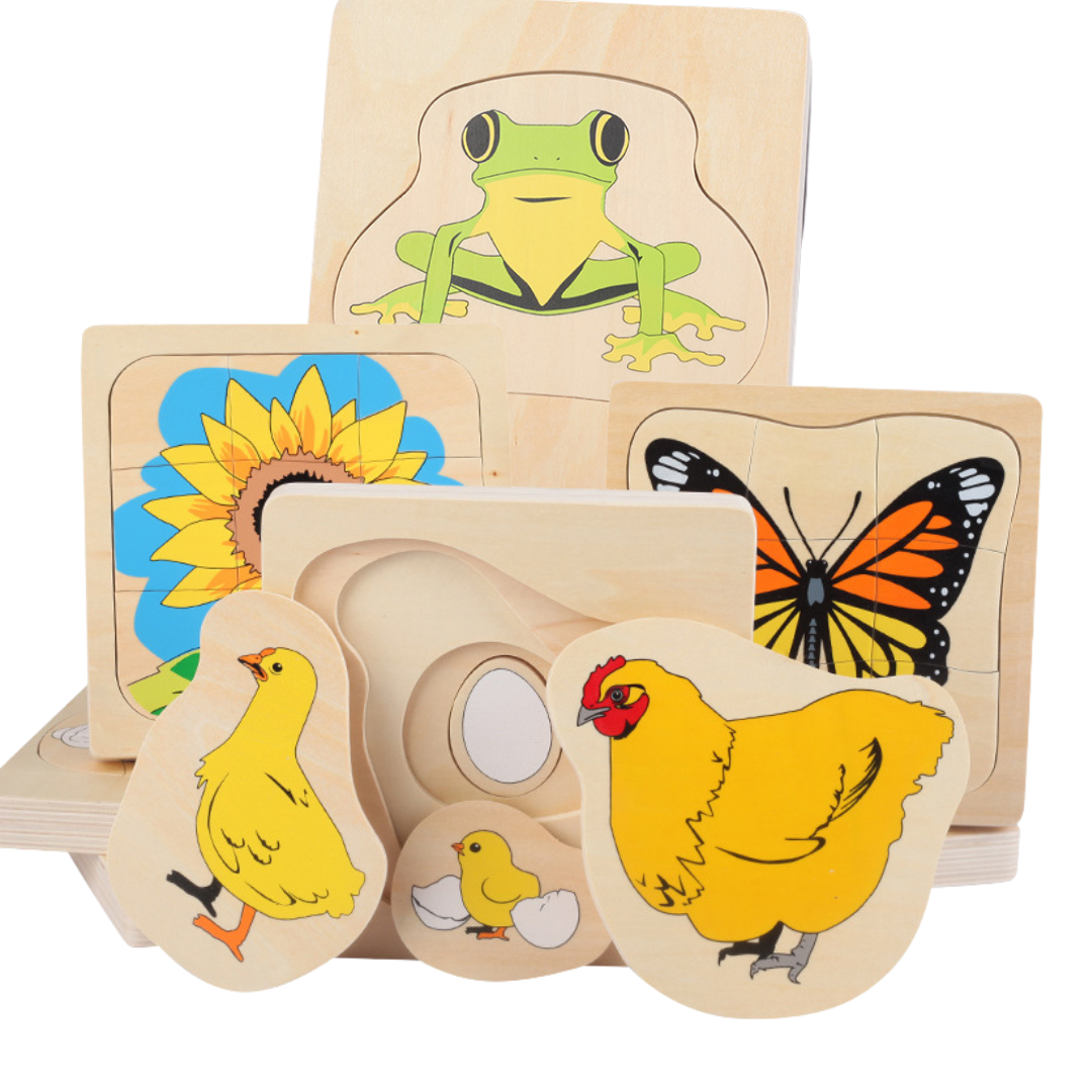 Montessori Sunflower Lifecycle Puzzle