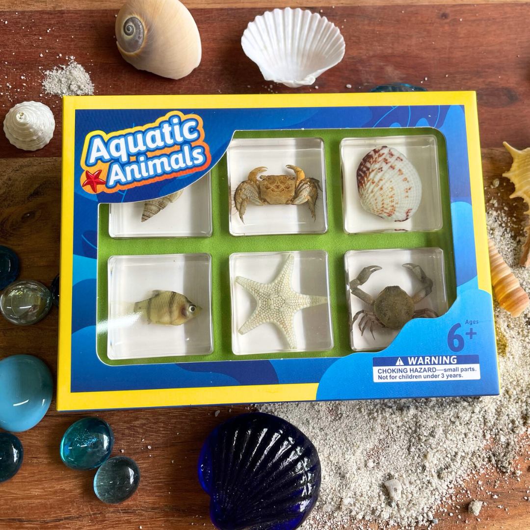 6 Aquatic Marine Sea Animals Resin Epoxy Specimens Gift Set For Children Style