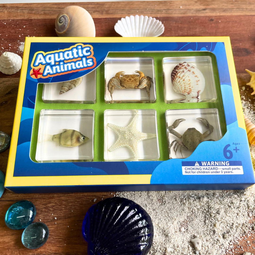 6 Aquatic Marine Sea Animals Resin Epoxy Specimens Gift Set For Children Style