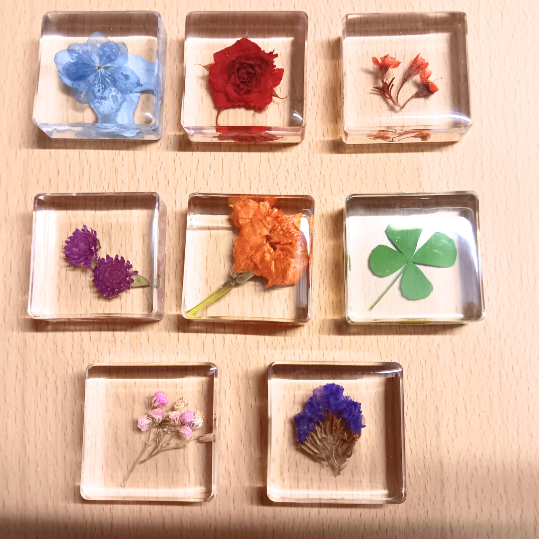 PLANTS ONLY FLOWER PETAL AND FAUNA Specimens Resin Epoxy Blocks