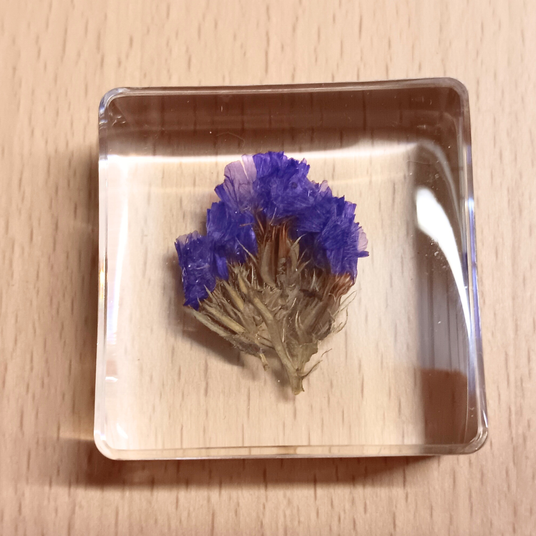 PLANTS ONLY FLOWER PETAL AND FAUNA Specimens Resin Epoxy Blocks