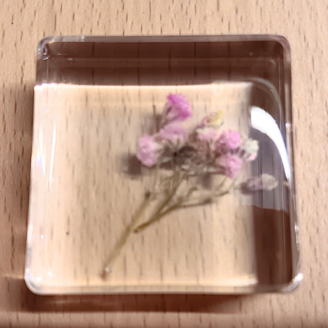 PLANTS ONLY FLOWER PETAL AND FAUNA Specimens Resin Epoxy Blocks