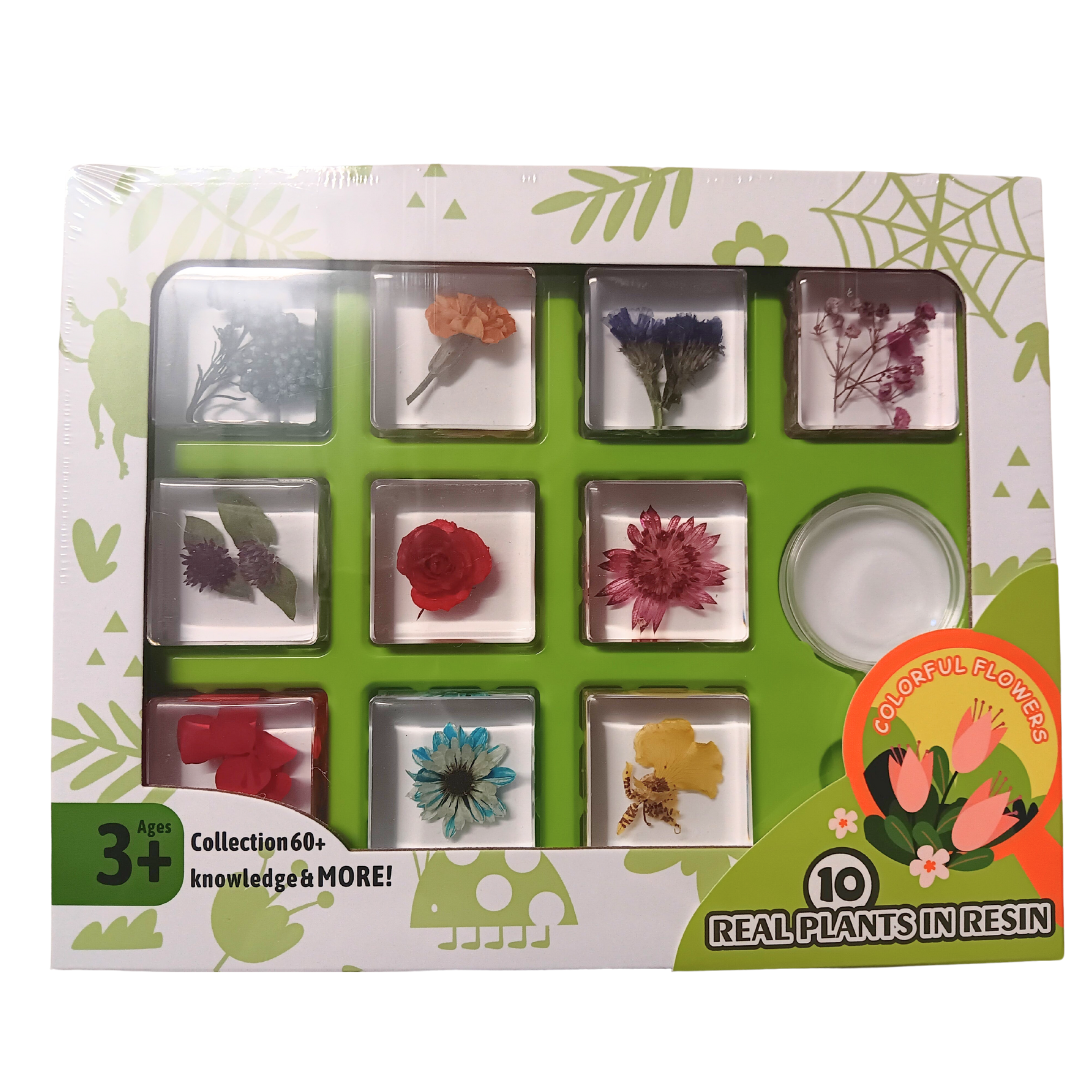 Animals Insect Resin Epoxy Specimens 10 Flowers and Fauna GIFT pack A With Guide Book and Magnifying Glass