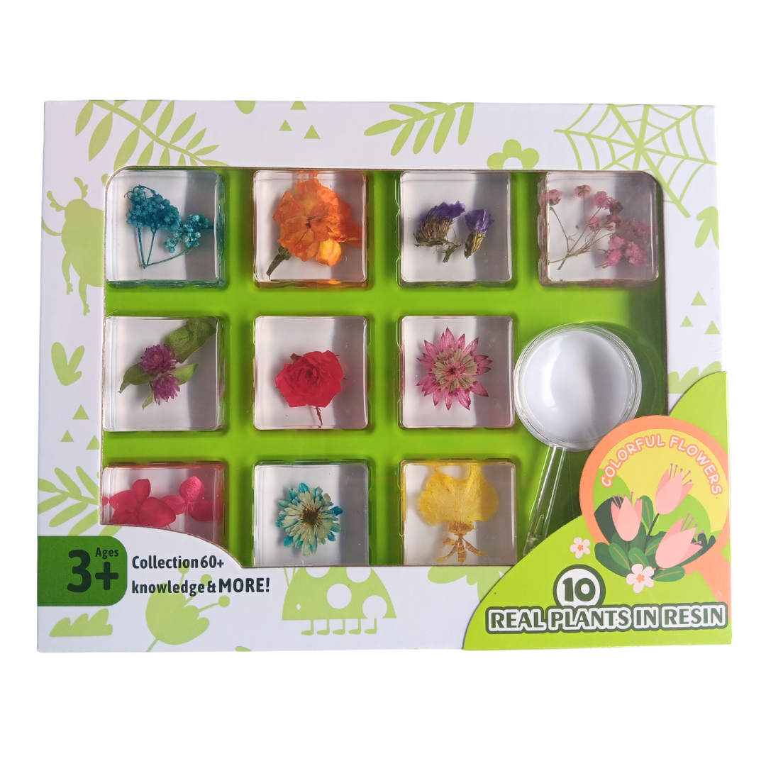 Animals Insect Resin Epoxy Specimens 10 Flowers and Fauna GIFT pack A With Guide Book and Magnifying Glass