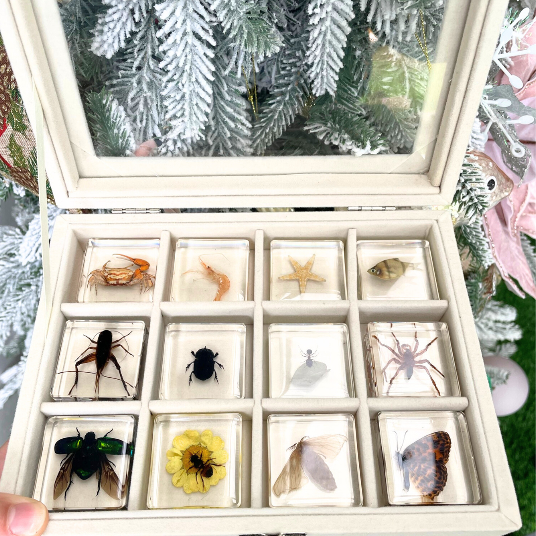 12 Animal Specimen Resin Epoxy Gift Set