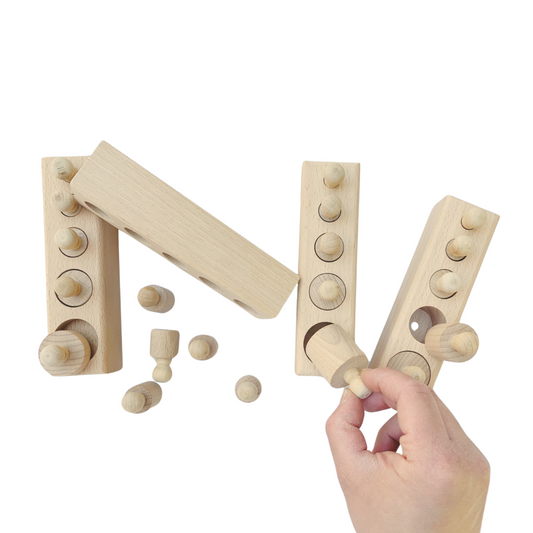 Montessori Knobbed Cylinders Set of 4