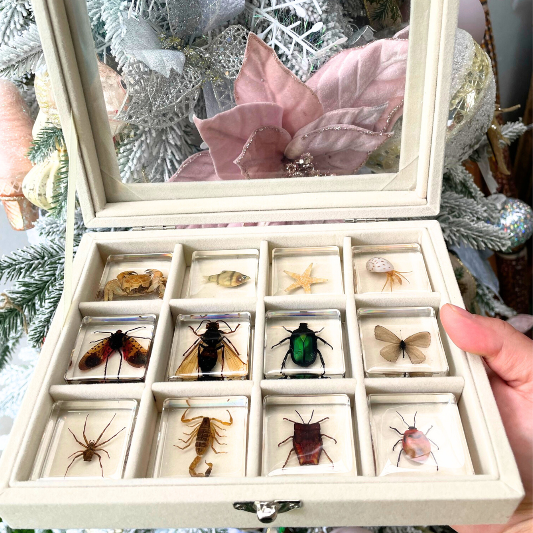 12 Animal Specimen Resin Epoxy Gift Set