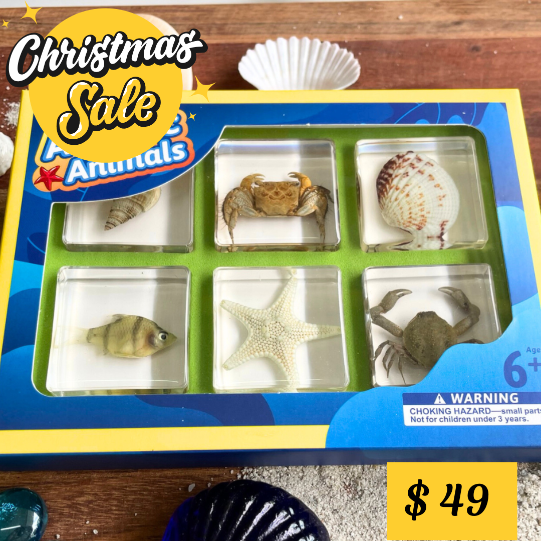 6 Aquatic Marine Sea Animals Resin Epoxy Specimens Gift Set For Children Style