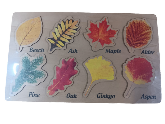 Wooden Leaf and Leaves Learning Puzzle