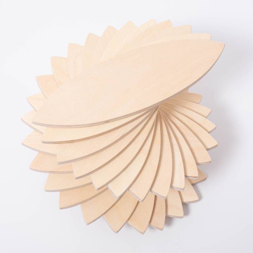 Large Natural Leaves Petals Ovals 24 Construction Building pieces with Tray