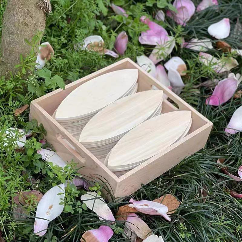 Large Natural Leaves Petals Ovals 24 Construction Building pieces with Tray