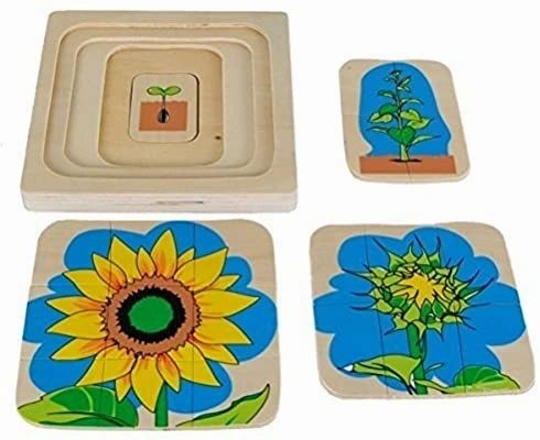 Montessori Sunflower Lifecycle Puzzle