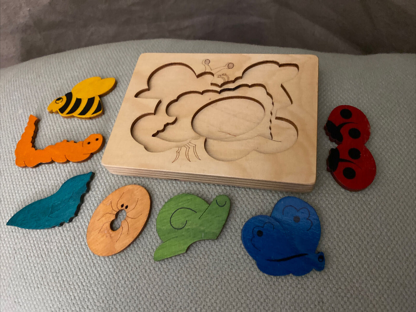 Montessori Multi Layered Bugs and Insects